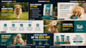 create professional perfume ads and promotional videos
