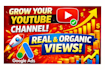 do youtube SEO expert video editor thumbnail designer