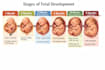 create neat and easy biology notes from ncert