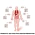 create medical and scientific illustrations