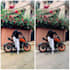 do image editing and colour grading