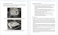 format your assignment professionally in apa,mla style