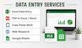 do accurate data entry and excel data cleaning