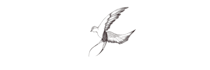 draw a dreamy book illustration