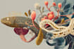 do medical and scientific illustrations