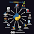 do python scripting, automation and bug fixing
