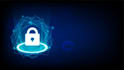 do web application penetration testing and security audit