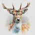 create realistic animal illustration