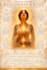 help you recover from chronic stress and burnout holistically