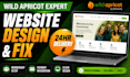 build or redesign your wild apricot website