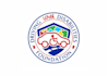 design elegant driving logo