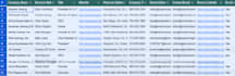 clean, organize, and format your excel data professionally