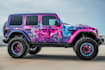 car wrap, van wrap any vehicle wrap
