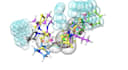perform molecular docking and drug design analysis