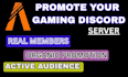 do fivem server promotion, discord, minecraft, fivem promotion, server growth