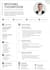 create a professional ats resume and modern CV design