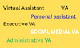 be your executive virtual assistant