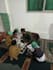teach quran with tajweed and basic islamic rules