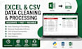 clean, format, and process excel or CSV data