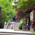 be your tokyo food and culture guide