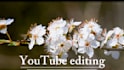 create cinematic and aesthetic video edits