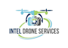design a professional drone logo