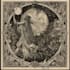 create detailed vintage engraving and etching illustration