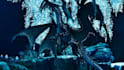 create a ark survival ascended creature mod