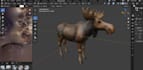 create anime dynamic head, custom roblox ugc bundle