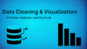clean, organize and analyze excel or CSV data