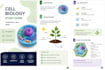 create professional educational pdfs and study guides