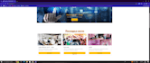 develop professional web application using asp net mvc