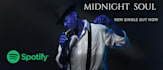 design professional spotify banner and soundcloud header