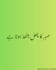 design islamic quotes and urdu instagram posts using canva