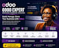 be your odoo expert, odoo website design, odoo erp ecommerce website developer