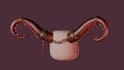 create custom roblox ugc items and accessories