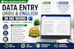 be virtual assistant of data entry, data typing, convert pdf or jpg to excel