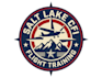 design excellent airplane logo