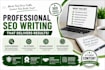write SEO optimized blog articles