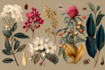design modern botanical line art