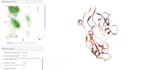 do protein structure modeling and validation