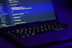 develop a custom enterprise website and high end saas solutions