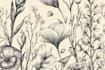 do best botanical line art illustration