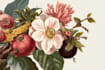 design modern botanical and floral illustrations