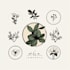 design elegant botanical logo illustration
