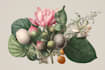design best botanical illustration