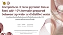design presentation slides and poster using canva
