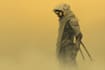 design stunning sci fi portrait art