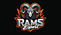 make eye catching rams head mascot logo in my style