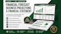 create financial model, projections, forecast and financial statements